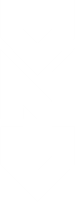 VNV_white